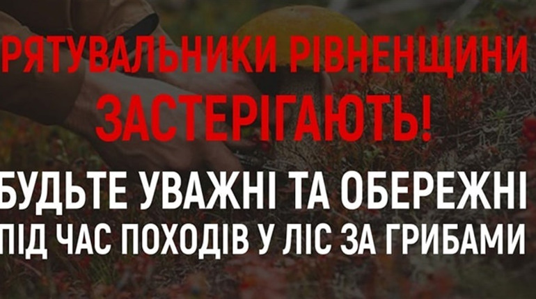 Рятувальники Рівненщини закликають громадян бути обережними під час походів до лісу