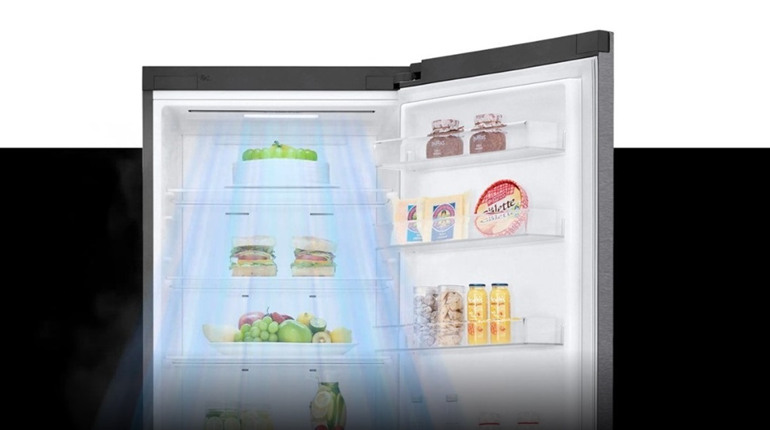 LG GW-B509SLKM у порівнянні з GW-B459SLCM: чи є сенс переплачувати?