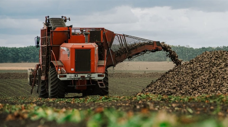 Аграрії Полтавщини завершують посів озимих зернових