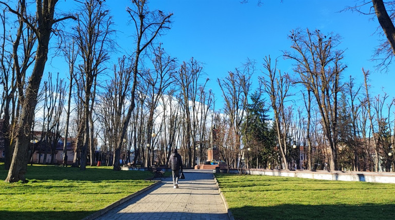 У Дрогобичі облаштують Алею пам’яті полеглих Героїв: це ініціатива рідних, влади та підприємців