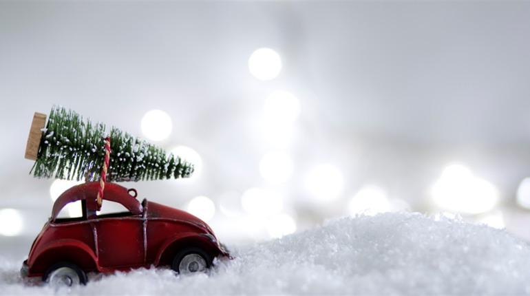 Ялинка на свята: яка відповідальність за незаконний зруб