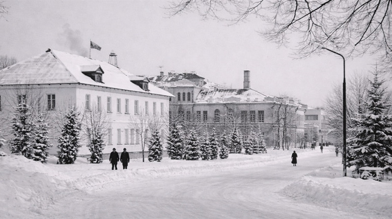 Від замерзлих птахів до парадів у -35°C: хроніка великих морозів на Глухівщині