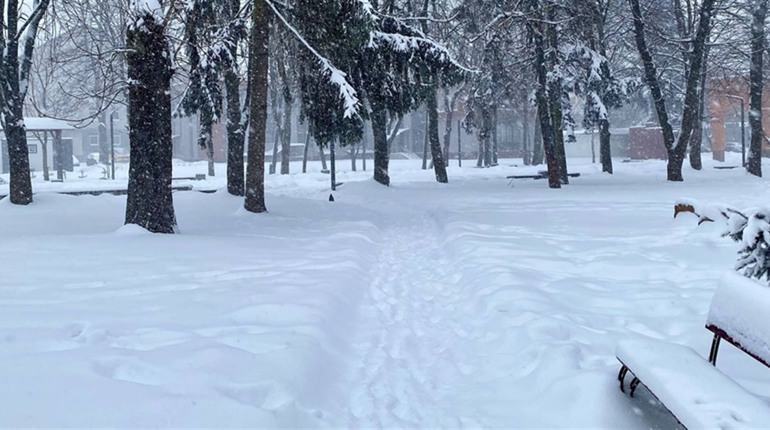 Снігопади у Звягелі: 10 одиниць техніки прибирають дороги, водіїв просять не паркувати на узбіччях