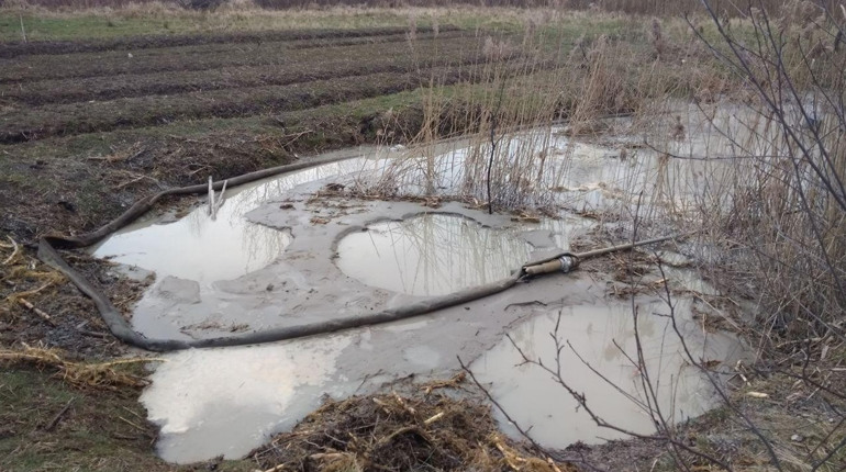 Видобували бурштин на городі: господиня викликала поліцію