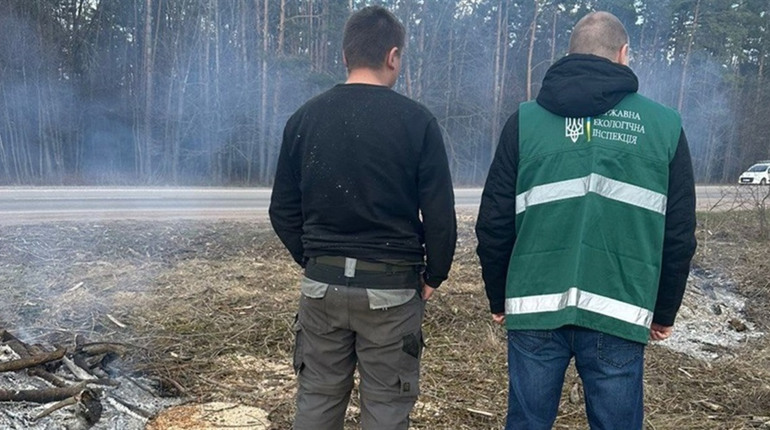 Палив траву вздовж дороги: у Сарненському районі оштрафували чоловіка