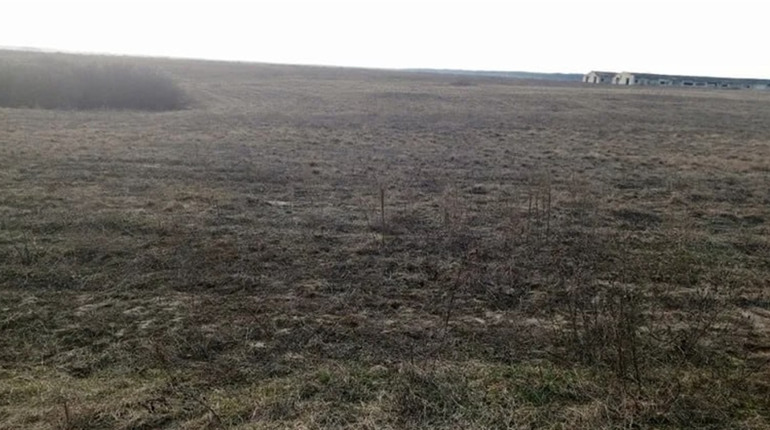 У Сарненській громаді виставили на аукціон право оренди восьми земельних ділянок