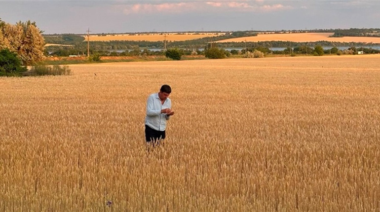 Як фермери з прифронтової Гуляйпільщини створили один із найдієвіших благодійних фондів для ЗСУ