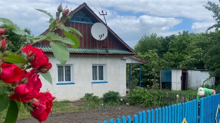 Додому, додому, додому…