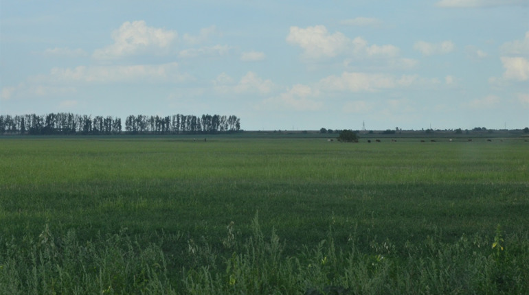 У продовження теми: підприємниця, яку оштрафували за вивезення лушпиння, пояснює свою позицію