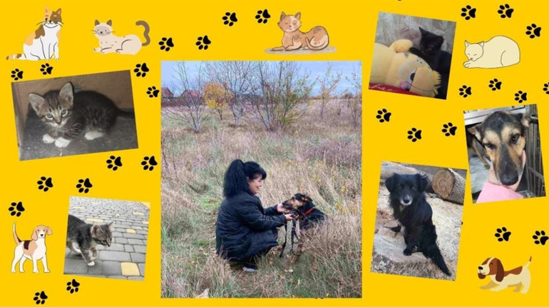 Кошенята з Покровська, Льонька та Граф: як люди із Первомайська врятували тварин з фронту