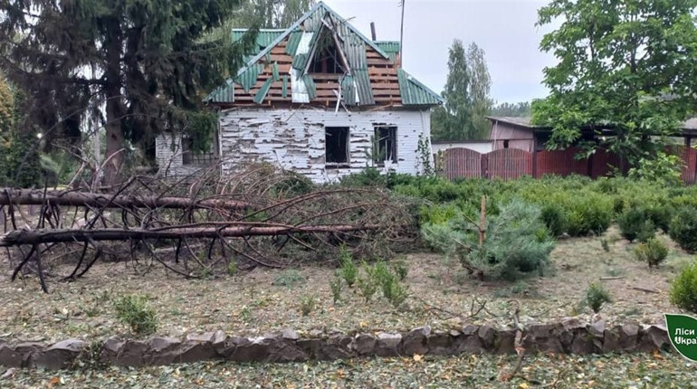 Через авіаудар 22 серпня пошкоджене Свеське лісництво