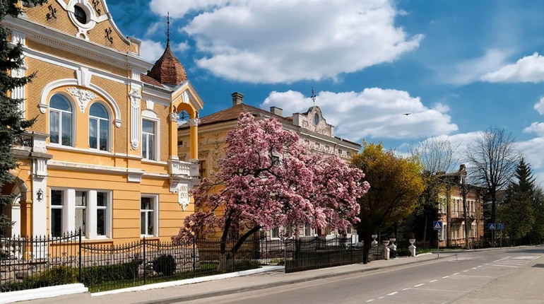 Головна магнолія Дрогобича: поки львів'яни стояли у черзі, дрогобичани робили фото