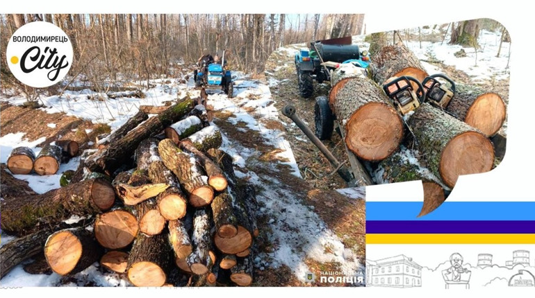 У Неньковичах поліцейські викрили трьох зловмисників на незаконній порубці деревини у заповіднику