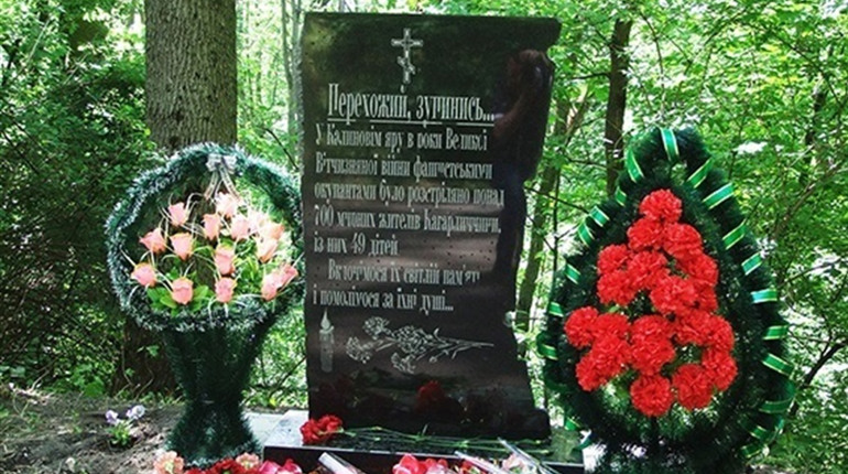 Хто рятував Марiка Лейфенфельда?