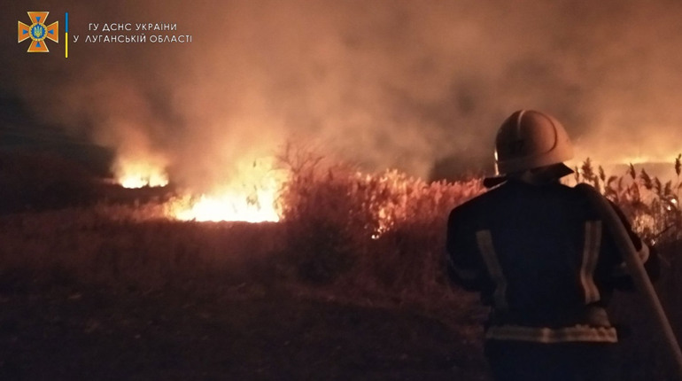 У Білокуракиному Сватівського району сталася пожежа на площі майже гектар: що горіло