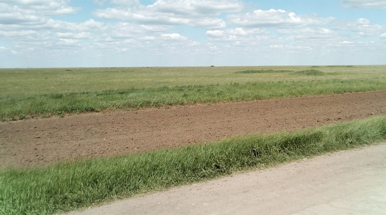 Окупанти знімають пропагандистський фільм про «російську» Асканію-Нову