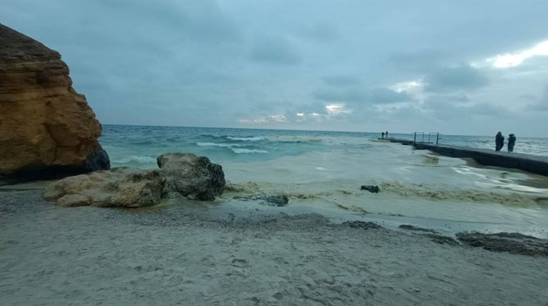Екологічна катастрофа в Одесі: узбережжя затоки вкрите соняшниковою олією, гинуть птахи