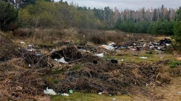 На Звягельщині ліквідували стихійне сміттєзвалище та встановили фотопастки для виявлення порушників