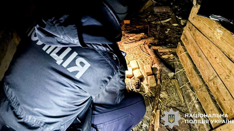У жителів Сарненського району вилучили гранати й нелегальну деревину