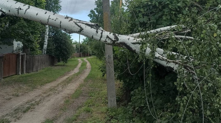 Менщину знову накрив буревій: пошкоджені будинки, повалені дерева, знеструмлені села