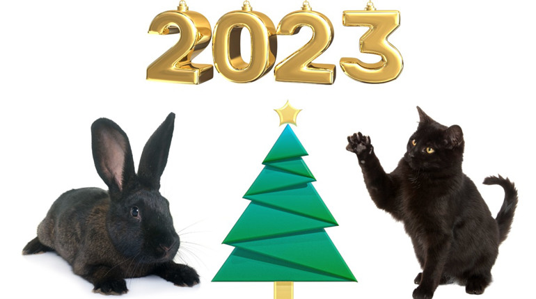 Cимвол нового 2023 року за східним календарем