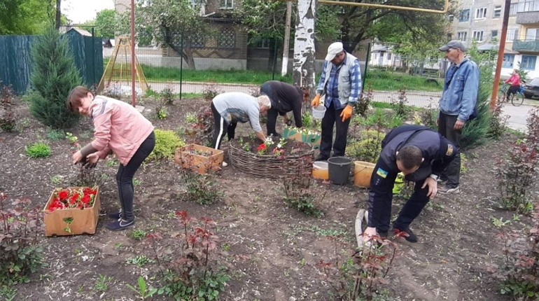 У старостинських округах Покровської громади висадили різнокольорові петунії