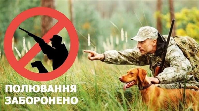 На Сумщині полювати можна лише на окупантів: пояснює Держекоінспекція Сумщини