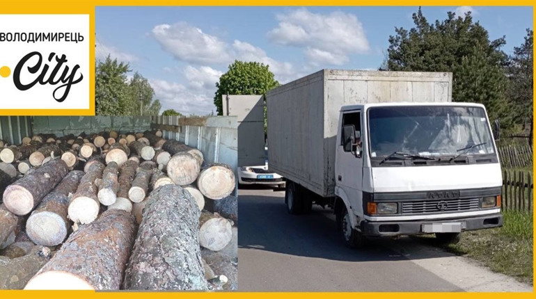 Біля Половель водій вантажівки намагався відкупитися за перевезення незаконної деревини