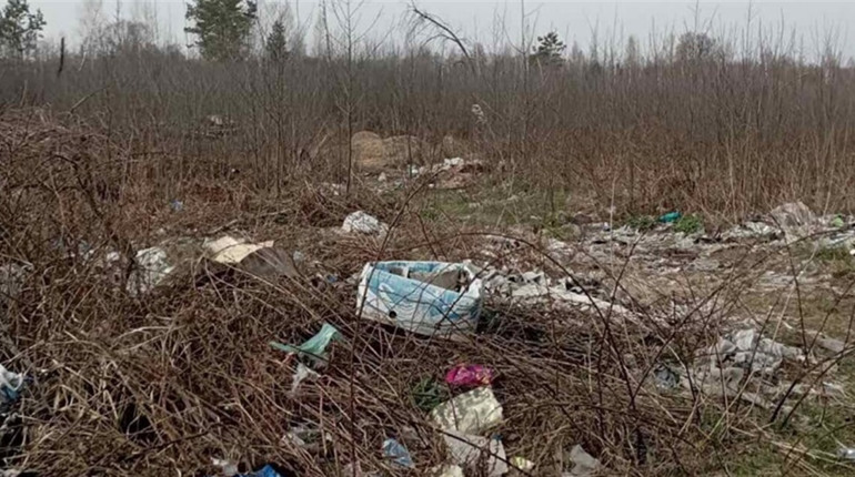 У міськради з Сарненського району вимагають ліквідувати незаконне звалище сміття