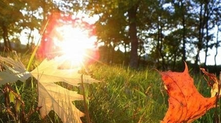 День осіннього рівнодення: що робити, щоб жити в достатку