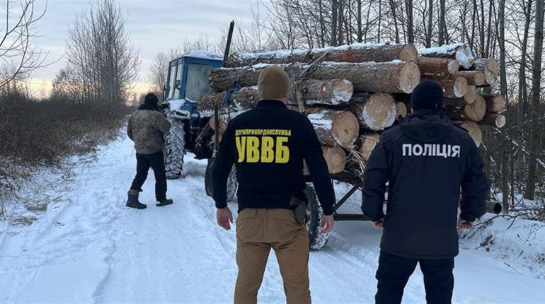 У селі Сарненського району зупинили перевізника незаконної деревини