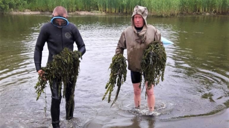 Дитячий пляж у Біляївці вже готовий до сезону: провели аналіз води, завершують деякі авральні роботи