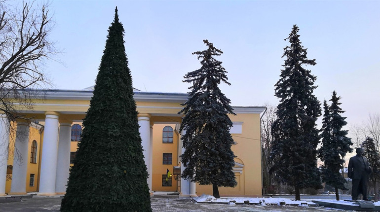 У Дрогобичі встановлюють міську ялинку, а у Трускавці та Бориславі - ні: чому так вирішили