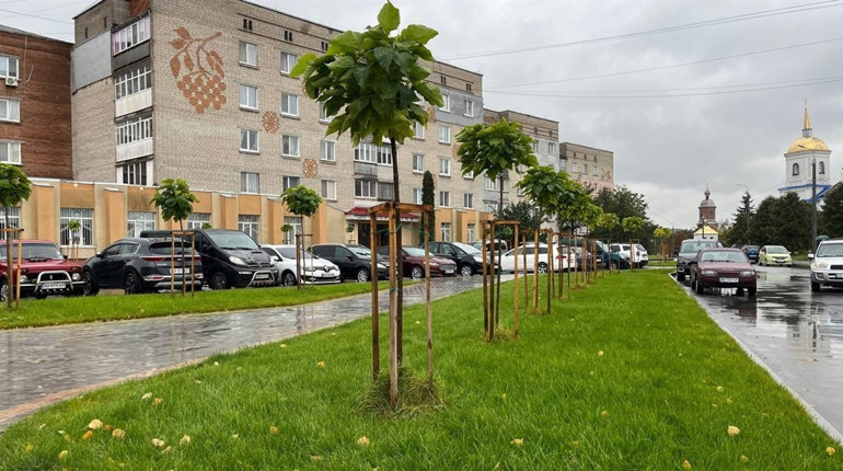Погода в Барі на тиждень: прогноз на 18–24 листопада