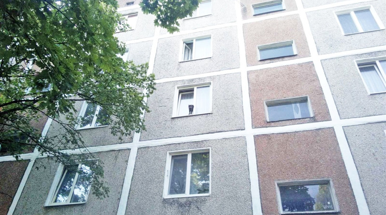 У Вараші врятували кота, який застряг у вікні