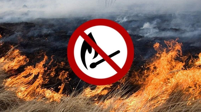 Рятувальники просять не бути подібними до орків — не палити траву і сміття