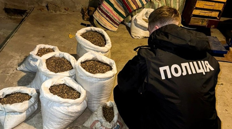 Скуповували і перепродавали «сонячне каміння»: на Сарненщині судитимуть нелегальних бізнесменів