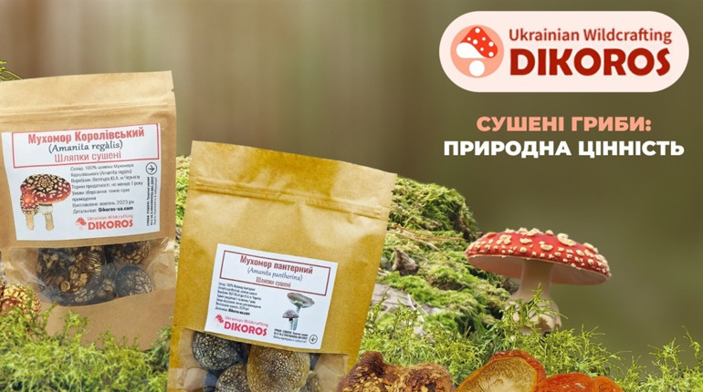 Чому сушені гриби залишаються одним із найцінніших форматів зберігання?