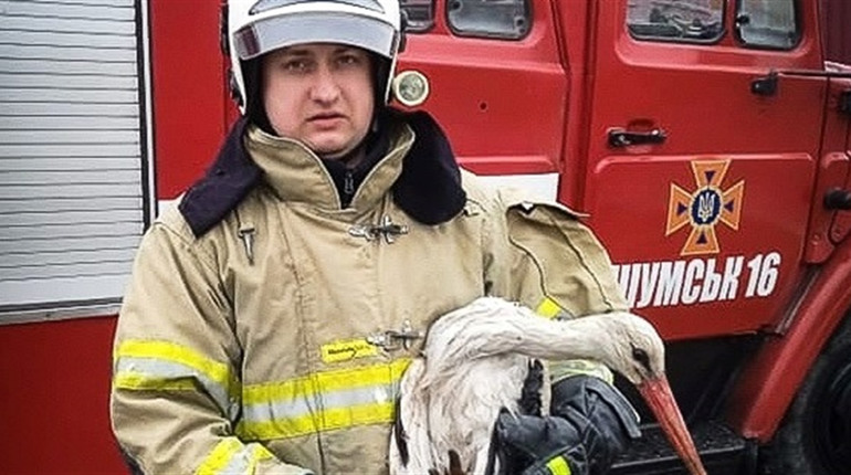 На Кременеччині рятувальники визволяли лелеку