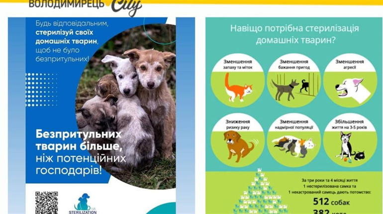 У Старій Рафалівці працюватимуть ветеринари два дні – стерилізуватимуть тварин