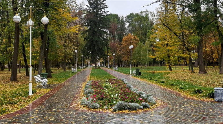 У п’ятницю дощитиме. Якою буде погода у Гадячі протягом тижня