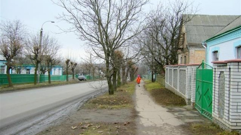Передмістя Умані. Лиса Гора