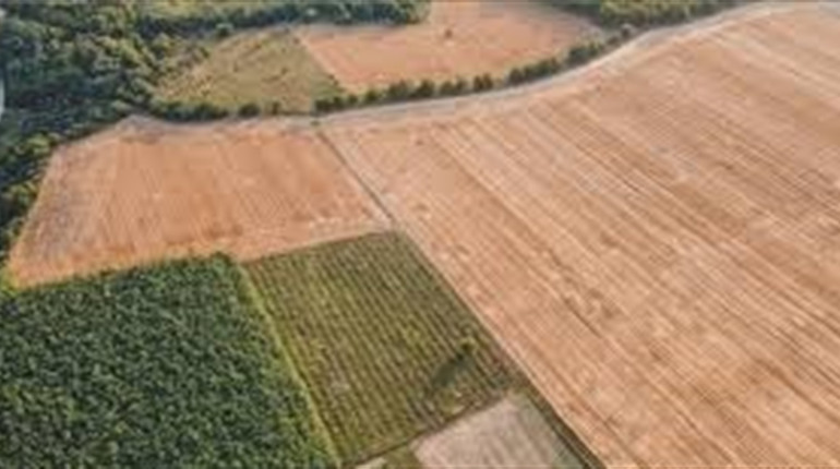 У Хмельницькому судитимуть кадастрову реєстраторку через незаконну зміну координат землі