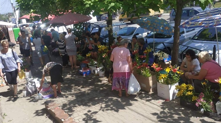 Опитування: як кіцманчани ставляться до стихійної торгівлі?