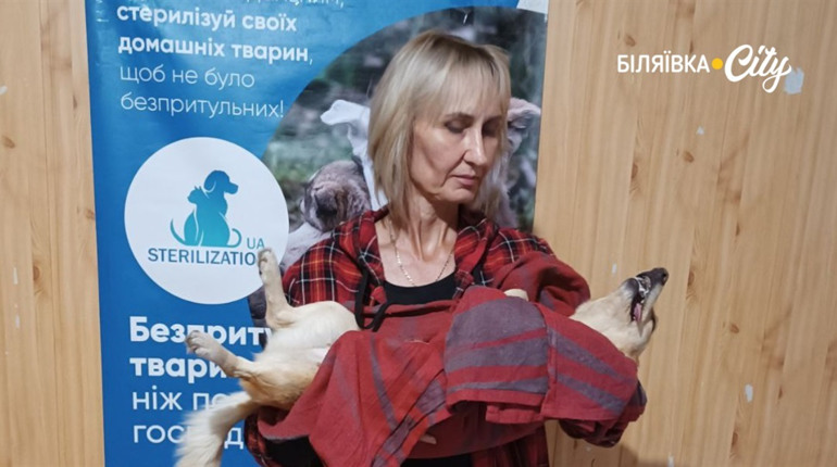 У Біляївці знову діє проєкт з безкоштовної стерилізації тварин, не лише безпритульних: йде запис