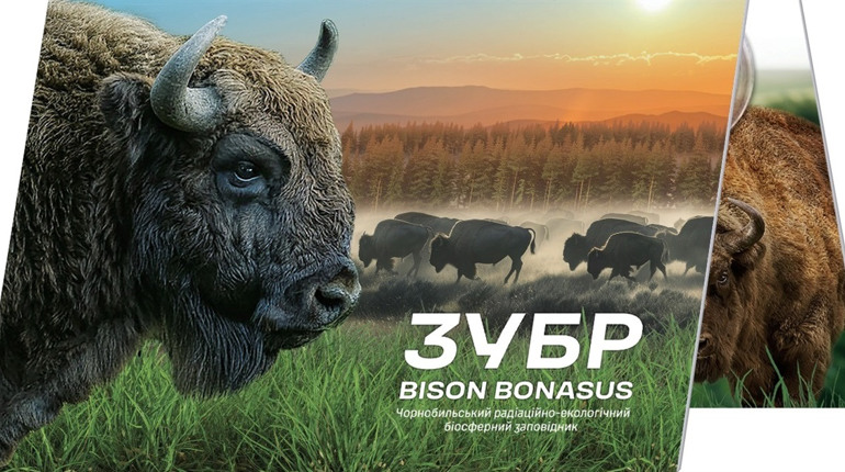Символ сили природи: НБУ випускає пам’ятну монету «Чорнобиль. Відродження. Зубр»