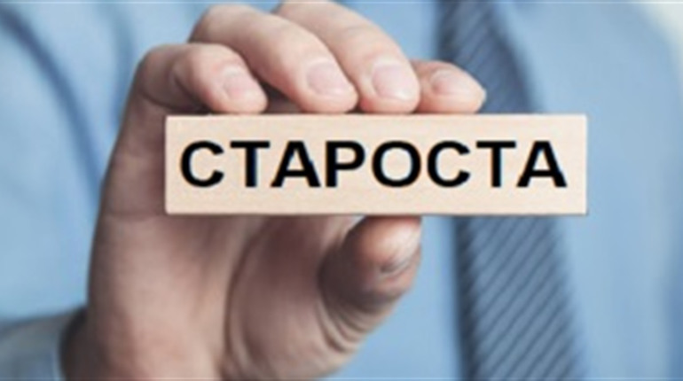 Нові призначення: Оленівський та Великоснітинський старостинські округи очолять жінки