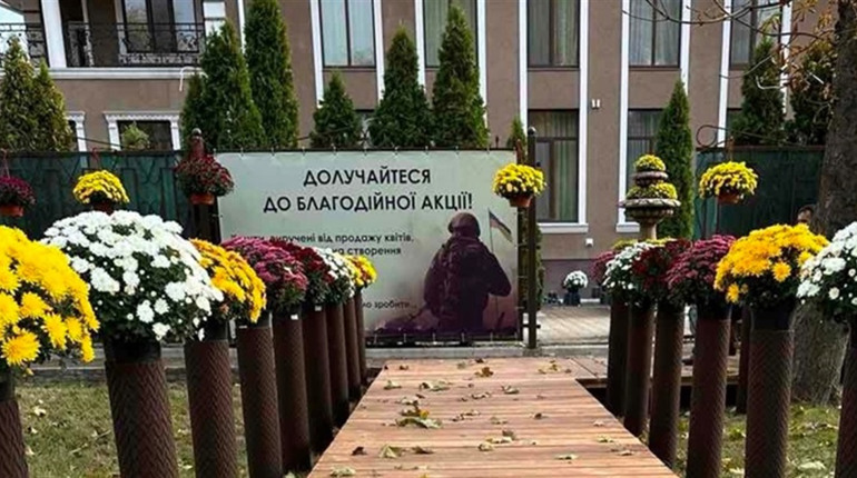 Благодійний аукціон рідкісних хризантем у П'ятихатках: збір коштів на монумент зниклим героям