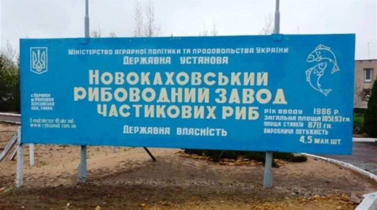 Новокаховський рибозавод хочуть ліквідувати