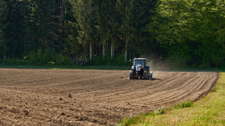 Цьогорічні норми посівної на Тернопільщині планують перевиконати